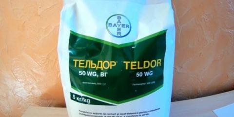 Teldor fungicid: upute za uporabu, recenzije